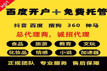 某品牌SEM推广策略的成效与启示